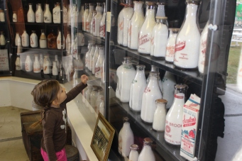 Checking out the dairy bottle collection